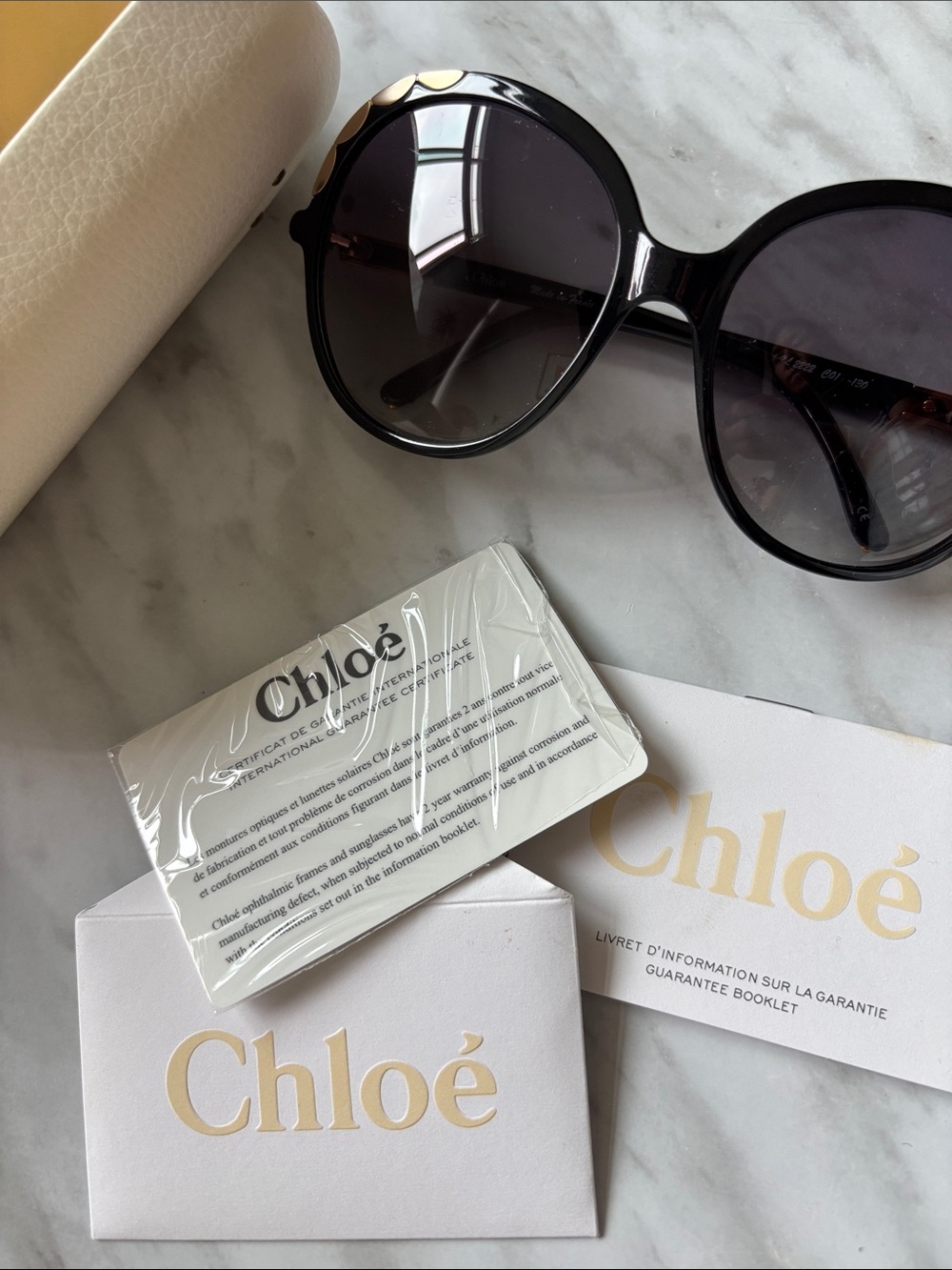 Chloé Erine - Oversized Sunglasses with Gold Accents - Picture 13 of 13